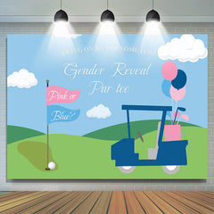 Lofaris Swing On By For Some Fun Gender Reveal Partee Backdrop