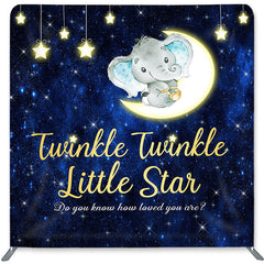 Lofaris Twinkle Litter Star Double-Sided Backdrop for Baby Shower