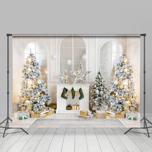 Lofaris White House Merry Christmas With Stock Star Backdrop