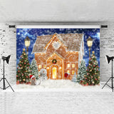 Load image into Gallery viewer, Lofaris Winter Night Sky And Warm House Backdrop For Chrismas